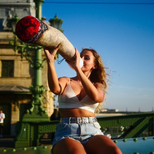 Joint Pillow "Real" - L 