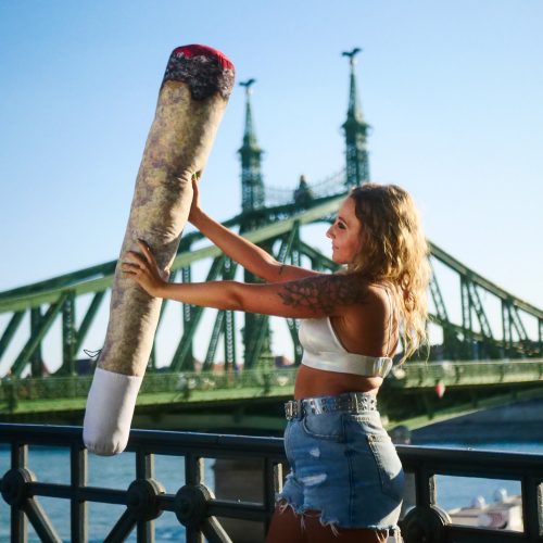 Joint Pillow "Real" - XXL