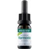 Medihemp CBD oil 10% 10 ml Harmonie