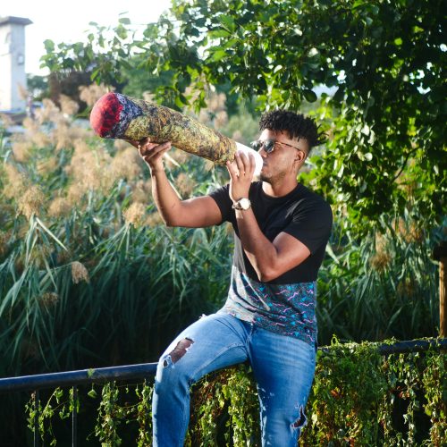 Joint Pillow "Flash" - L